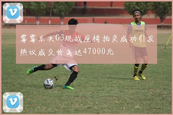 霉霉东决G3观战座椅拍卖成功引发热议成交价高达47000元