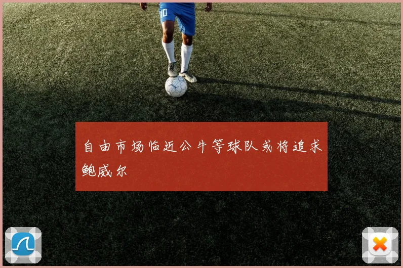 自由市场临近公牛等球队或将追求鲍威尔